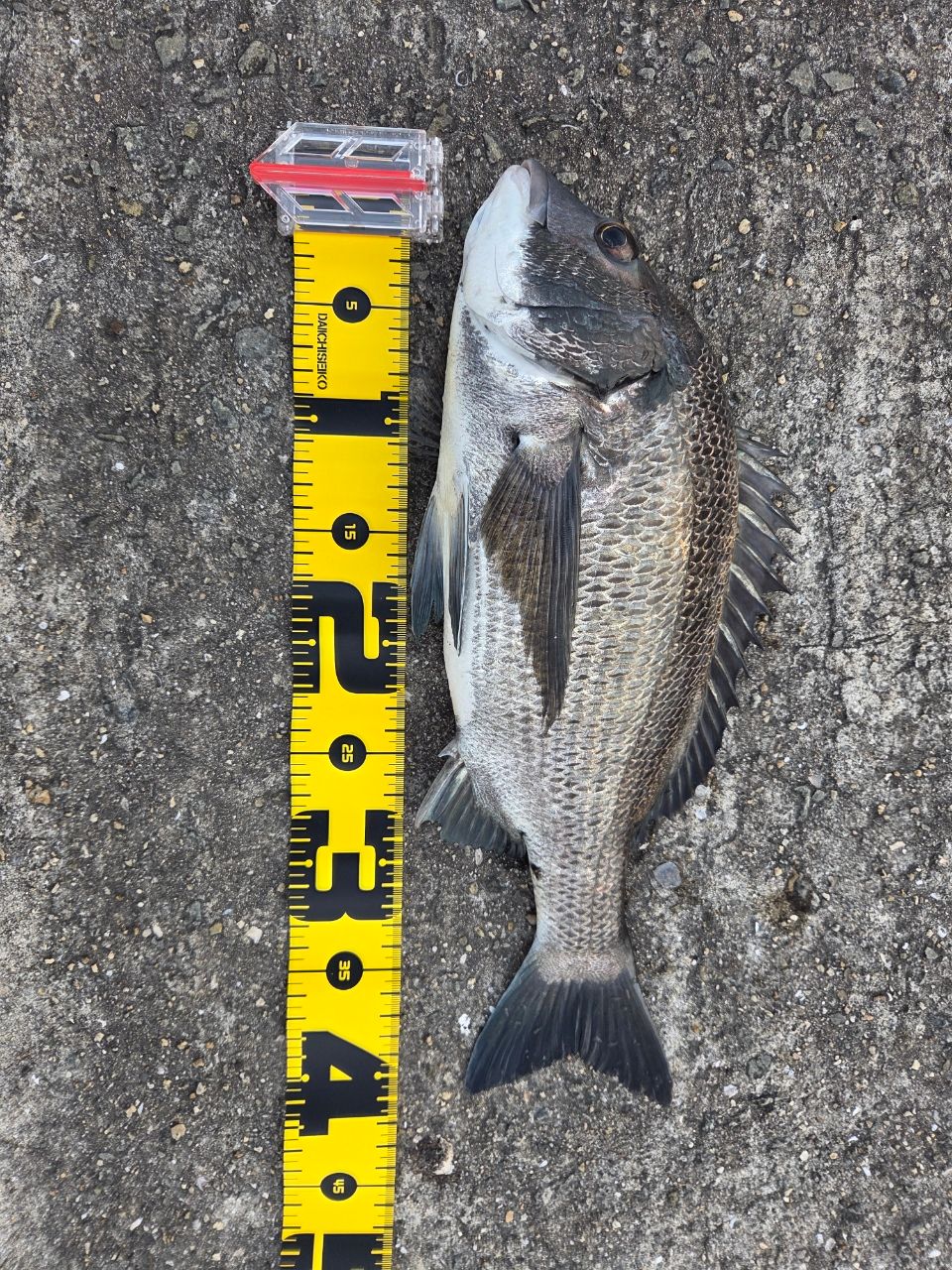 DAIWA 14ラブラックス AGS（スピニングモデル） 87LMLの最安値