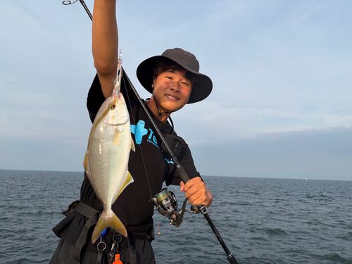 ショゴの釣果