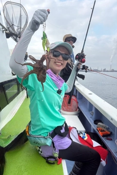マダコの釣果
