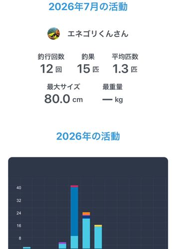 シーバスの釣果
