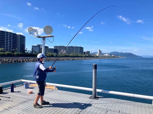 タイの釣果