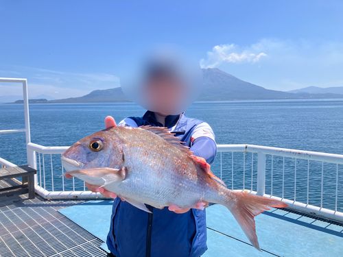 タイの釣果
