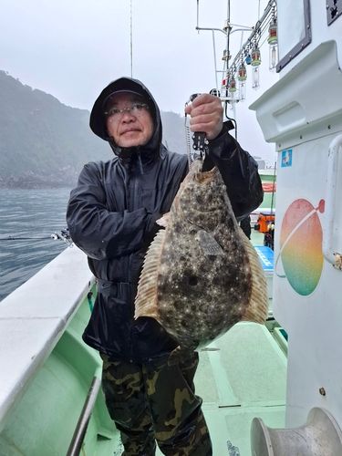 ヒラメの釣果
