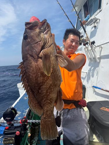 カンパチの釣果