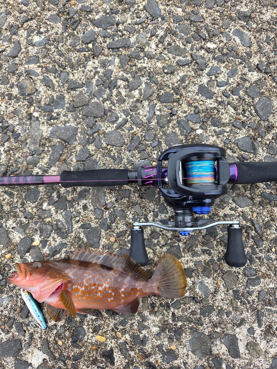 DAIWA 23ハートランド リベラリスト 863M+RSB-23の最安値・インプレ