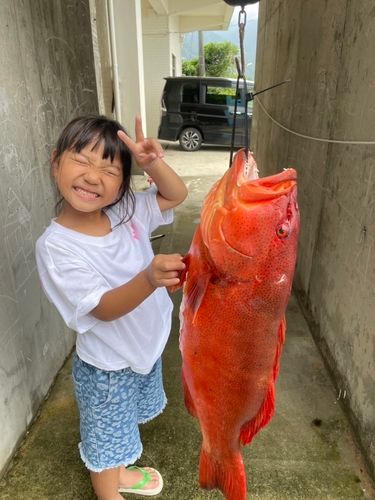 スジアラの釣果