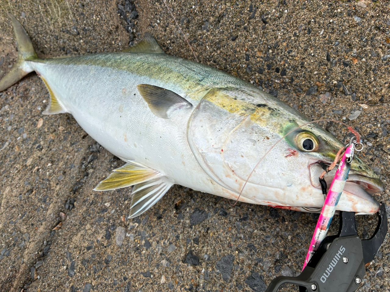 MajorCraft クロスライド 5G XR5-1002HHの最安値・インプレ・釣果