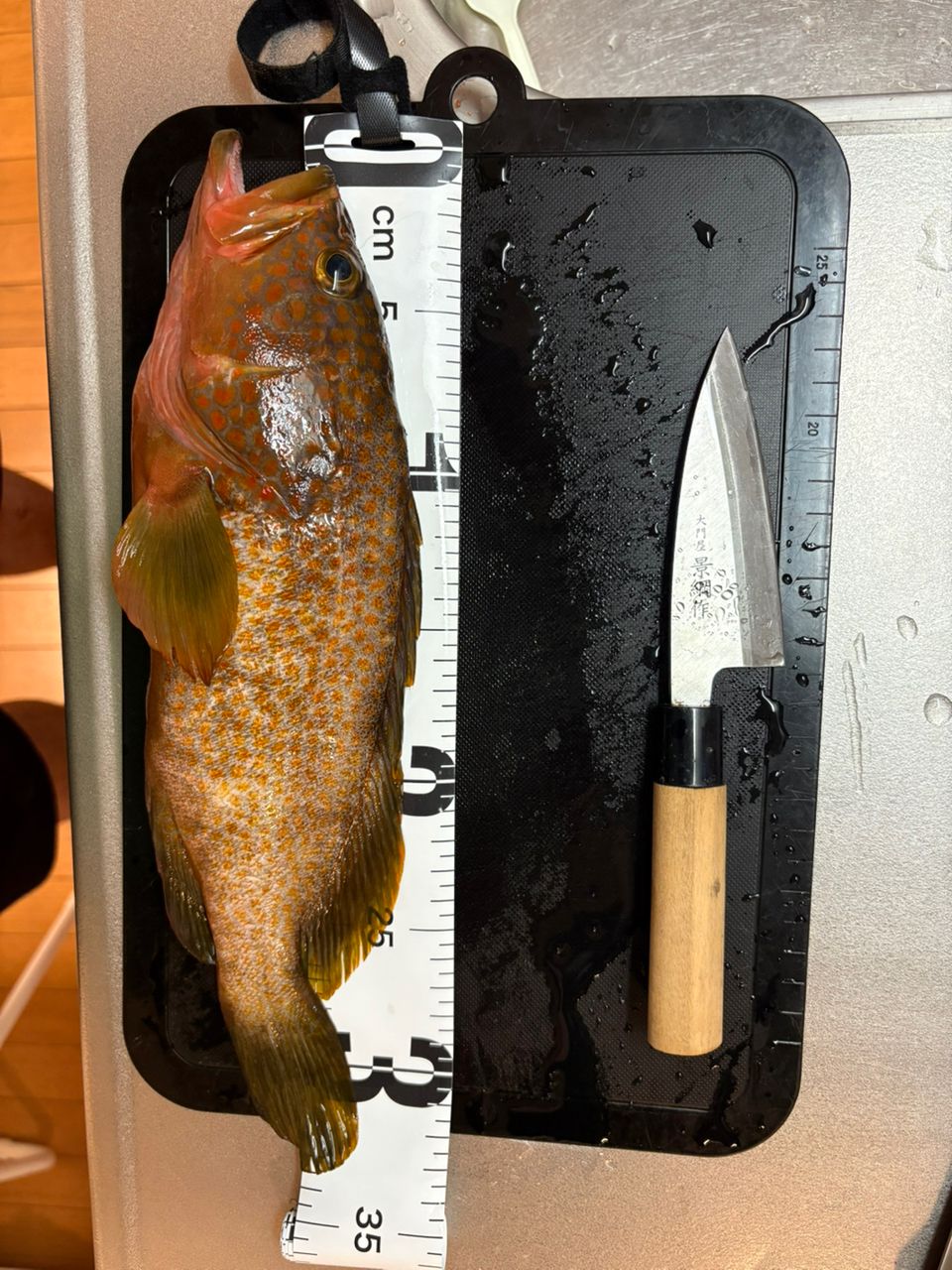 DAIWA 23ハートランド リベラリスト 903ML+RSS-22の最安値・インプレ