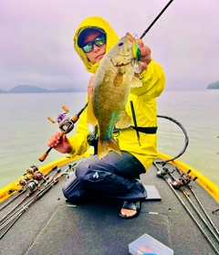 スモールマウスバスの釣果