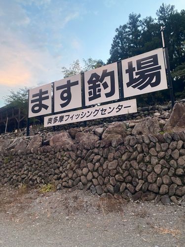 レインボートラウトの釣果