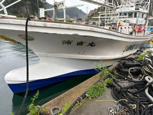 スルメイカの釣果