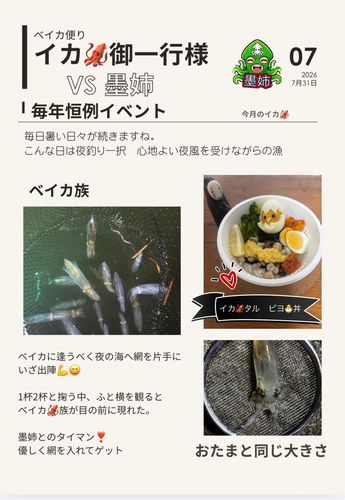 ベイカの釣果