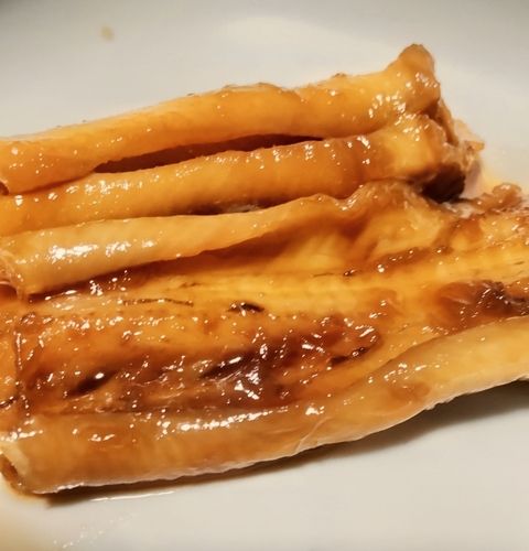 アナゴの釣果