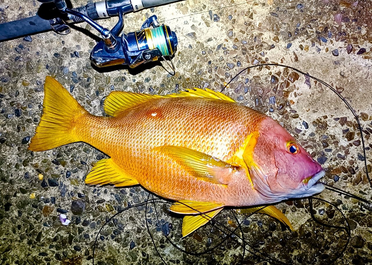 SHIMANO 23ルアーマチック（ソルトルアー推奨モデル） S100MHの最安値