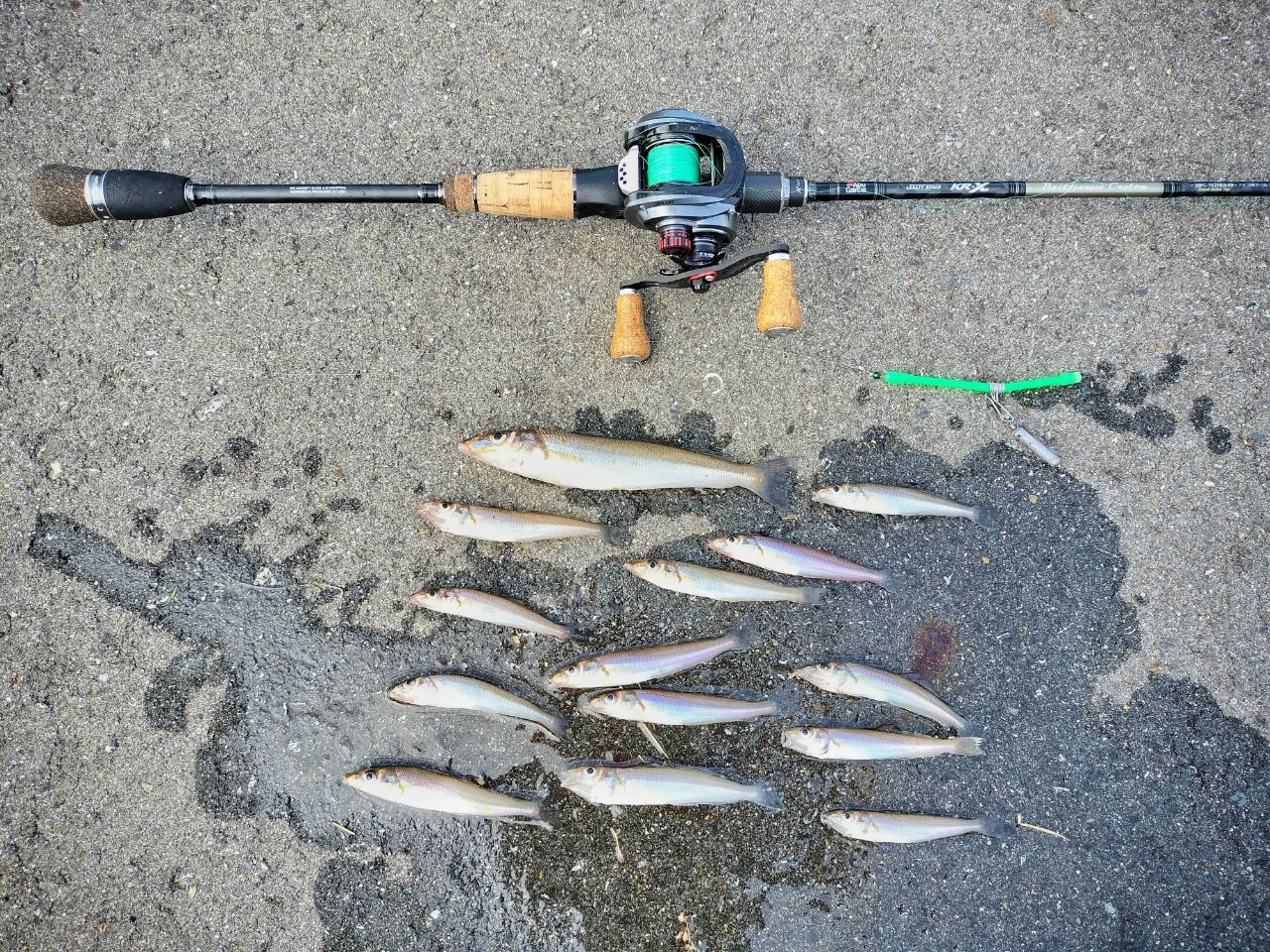 AbuGarcia ソルティーステージ・KR-X・ベイトフィネスカスタム SBFC