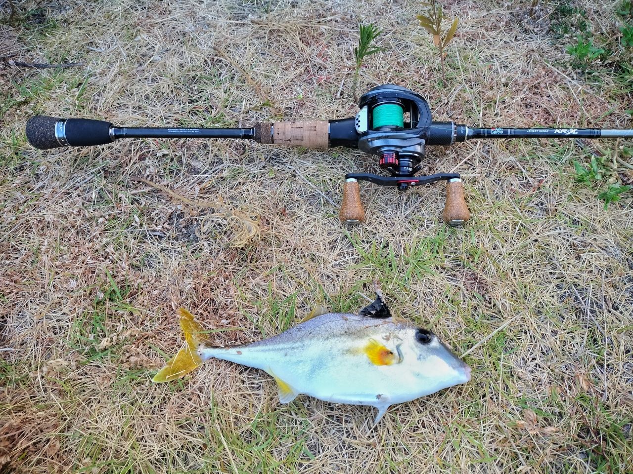 AbuGarcia ソルティーステージ・KR-X・ベイトフィネスカスタムの最安値