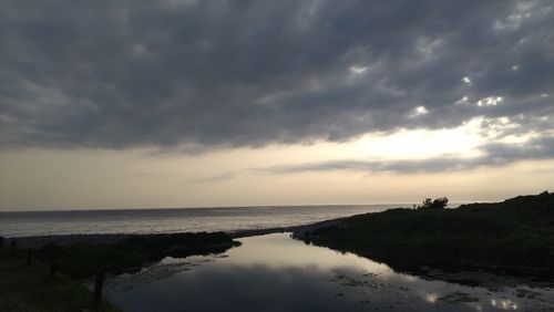 アユの釣果