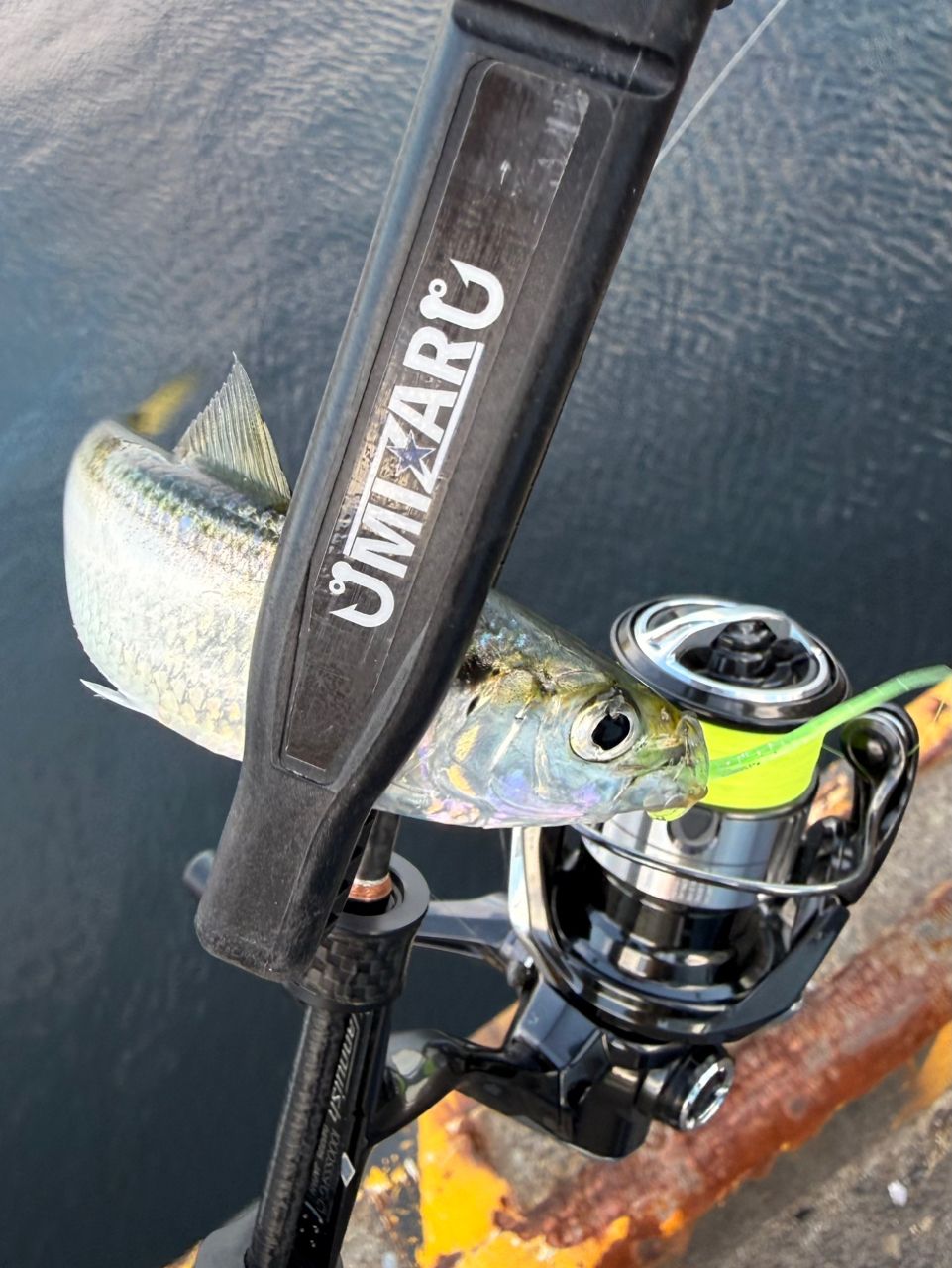 SHIMANO 19ヴァンキッシュ 1000SSSPGの最安値・インプレ・釣果 | 本音