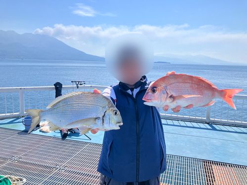 タイの釣果
