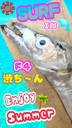 タチウオの釣果