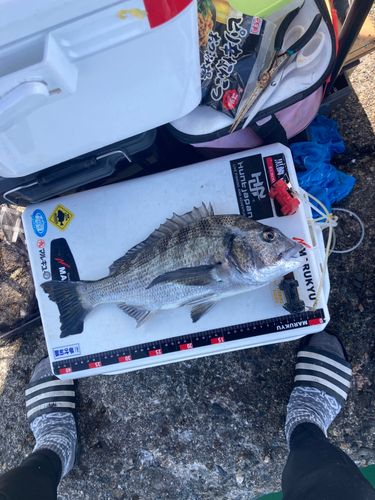 釣果