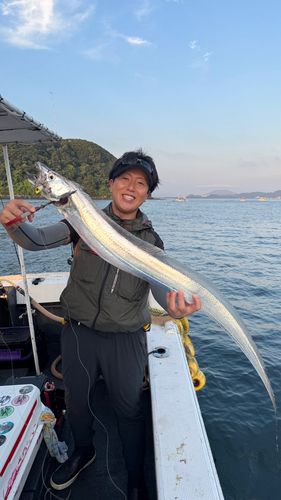 タチウオの釣果