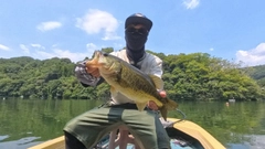 ラージマウスバスの釣果