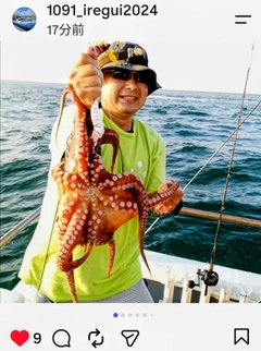 タコの釣果
