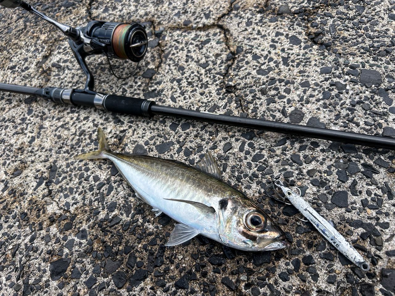 SHIMANO 19ヴァンキッシュ C5000XGの最安値・インプレ・釣果 | 本音の