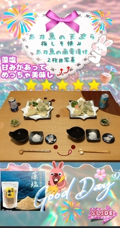 タチウオの釣果