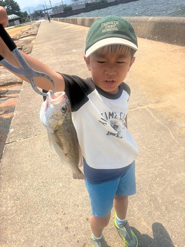 イシモチの釣果