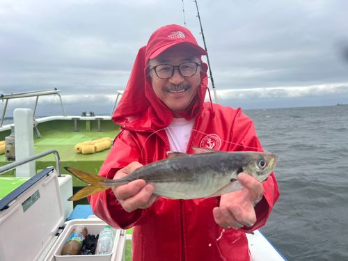 マアジの釣果