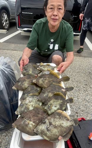 カワハギの釣果