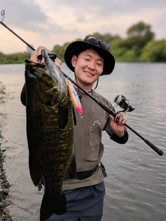 スモールマウスバスの釣果