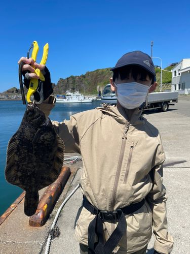 クロガシラガレイの釣果