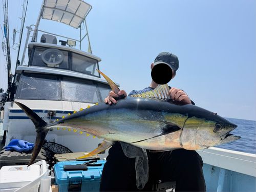 キハダマグロの釣果