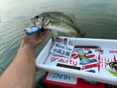 ラージマウスバスの釣果