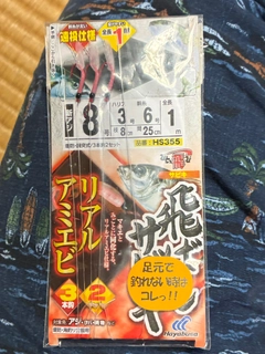 ソウダガツオの釣果
