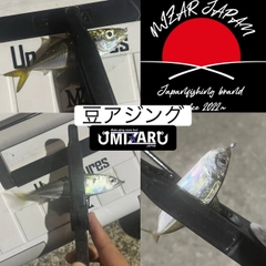 マアジの釣果