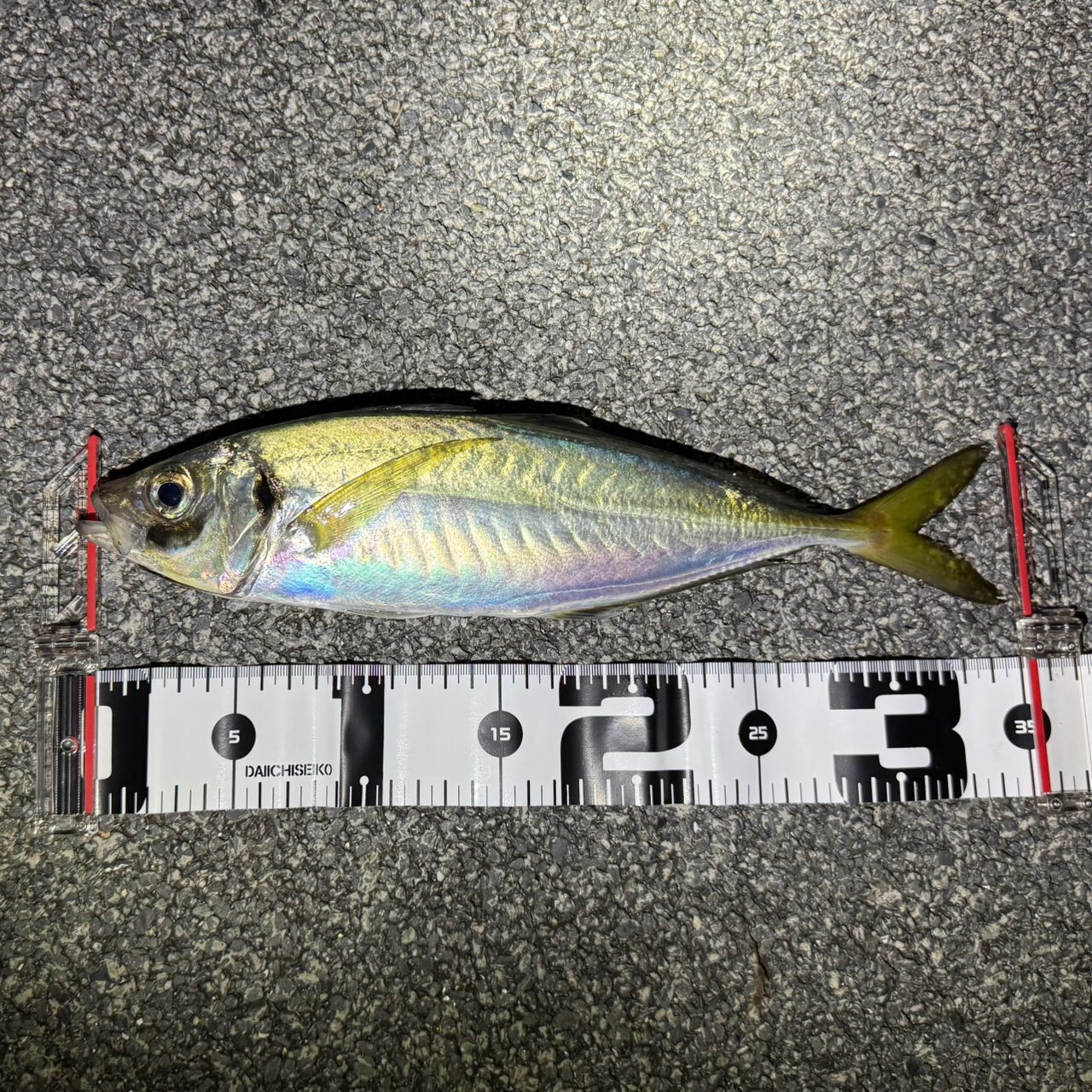 SHIMANO 20ソアレ エクスチューン S64UL+-Sの最安値・インプレ・釣果