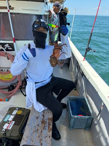 タコの釣果