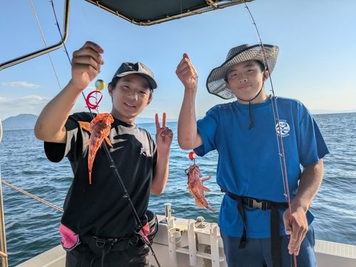 アラカブの釣果