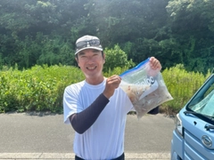マルイカの釣果