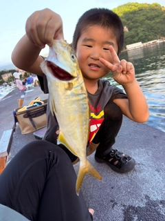 ショゴの釣果