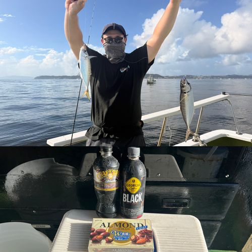 マアジの釣果