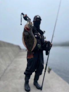 ヒラメの釣果