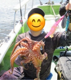 タコの釣果