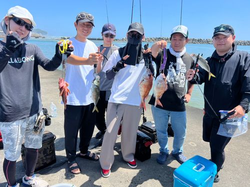 タイの釣果