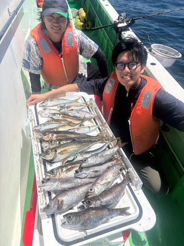 カワハギの釣果