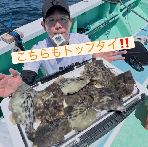カワハギの釣果